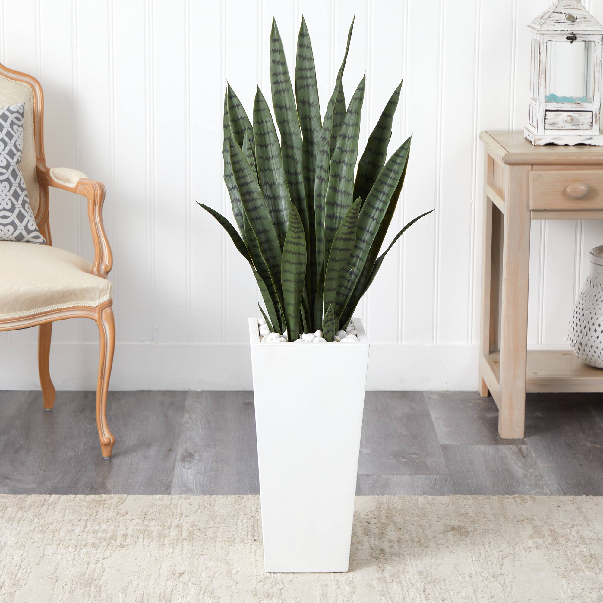 4ft. Sansevieria Plant in White Tower Planter